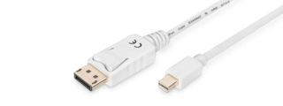 mini DisplayPort - DisplayPort