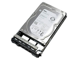 Dell PowerEdge 12TB NLSAS