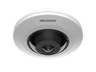 HIK DS-2CD2955G0-ISU(1.05mm)(O-STD)