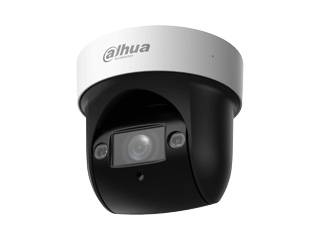 Dahua DH-SD29204DB-GNY-W