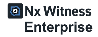 Nx Witness Enterprise VMS