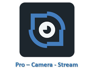 Network Optix Nx-Professional-F (L)