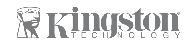 Brand shop: Kingston