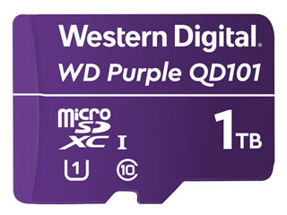 Western Digital WDD100T1P0C