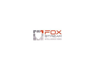 FOXSTREAM Fox-Vigi P-SML-DET-3Y (L)